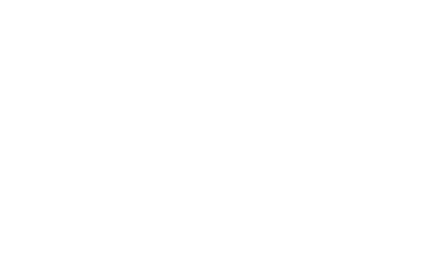 Logo-Vector-Signature-WHT-500x300px